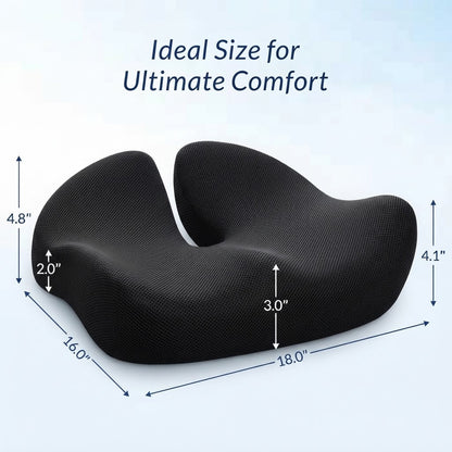 Pioneering Ergonomic Seat Cushions